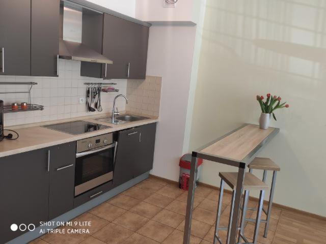 LuxApartament 3 - z dużym tarasem i garażem w Zeta Park Ustroń Zewnętrze zdjęcie